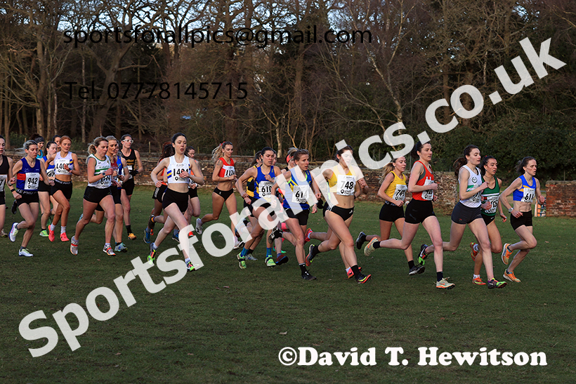 Senior womens 2025 Northern Cross Country Champs, Tatton Park, Knutsford, Cheshire. Photo: David T. Hewitson/Sports for All Pics